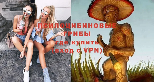 прущая мука Переславль-Залесский