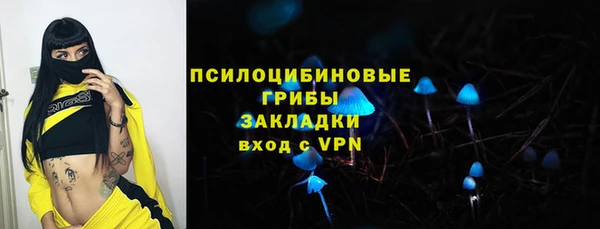 ECSTASY Осинники