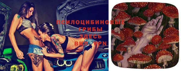 прущая мука Переславль-Залесский