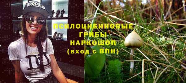гидра Жердевка