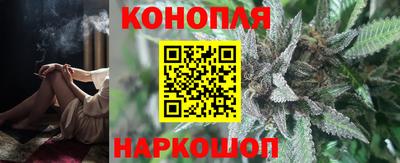 гидра Беслан