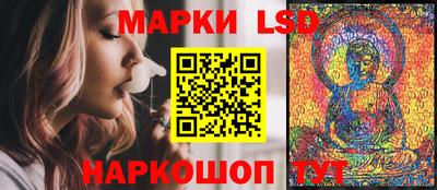 Альфа ПВП Бийск