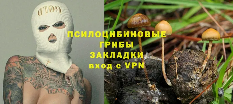 даркнет сайт  Серов  Псилоцибиновые грибы Psilocybe 