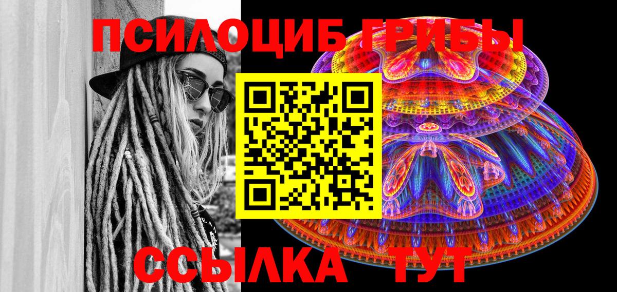 Галлюциногенные грибы Cubensis  Вход с VPN  Серов 